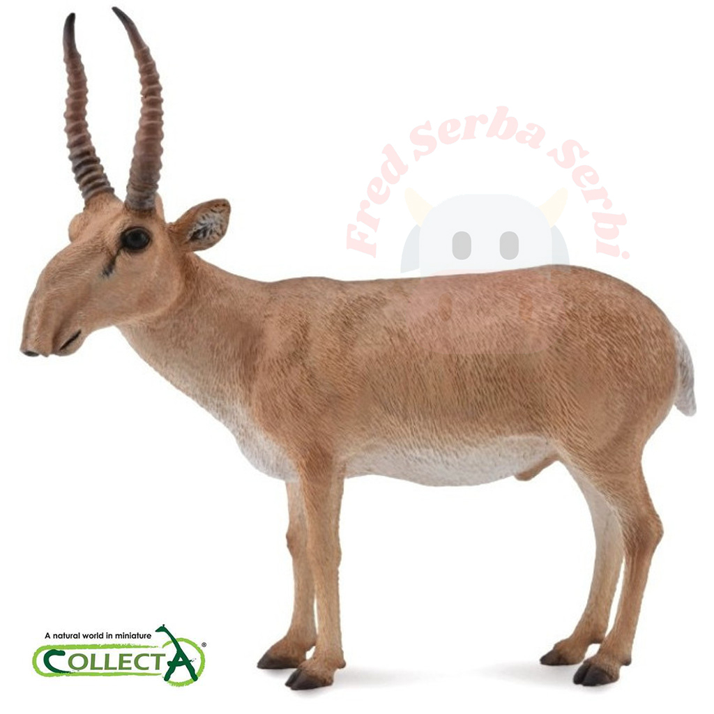 CollectA - Saiga Antelope