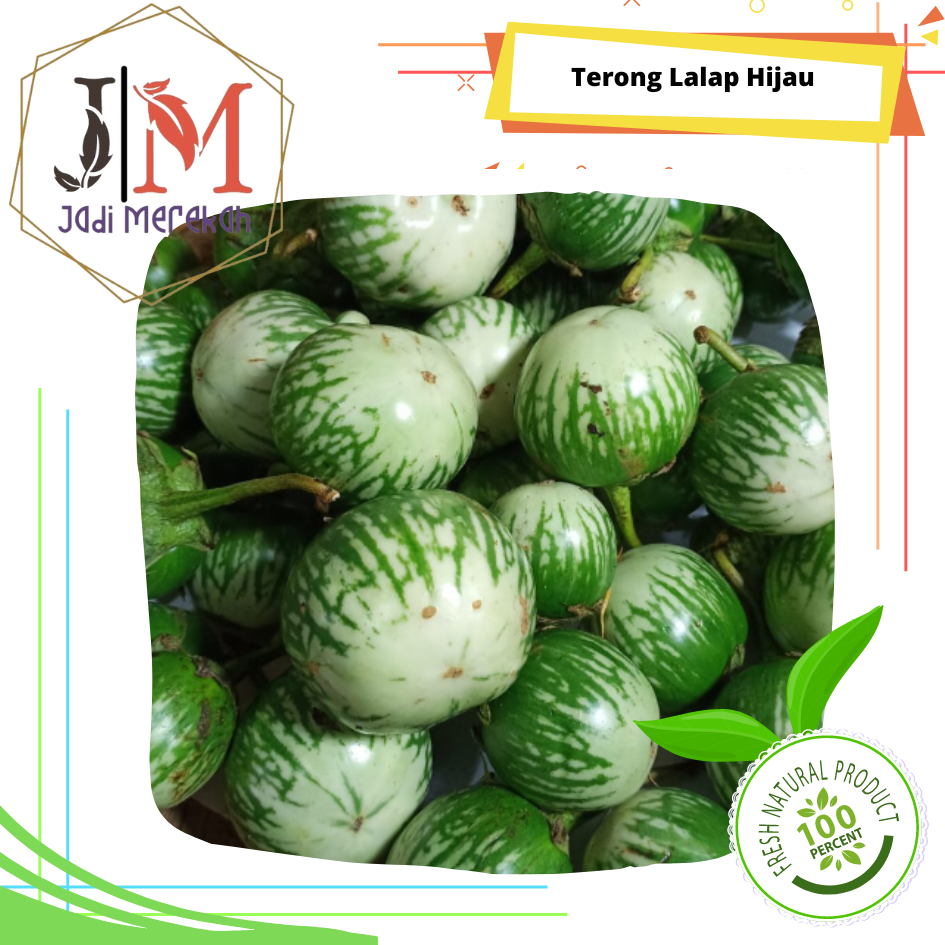 

[JM SoFresh] - Terong Lalap / Terong Mini / Terong Gelatik