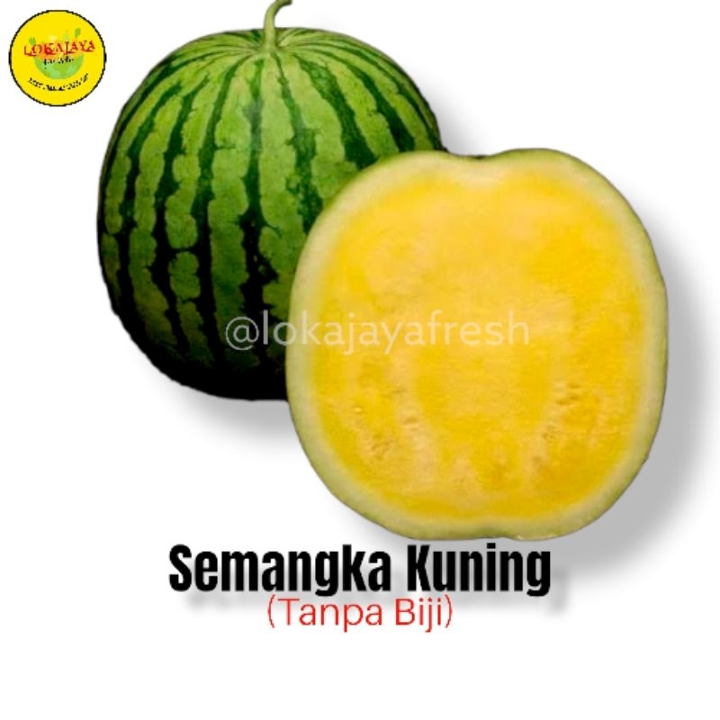 

Semangka Kuning Tanpa Biji Manis 1 Buah