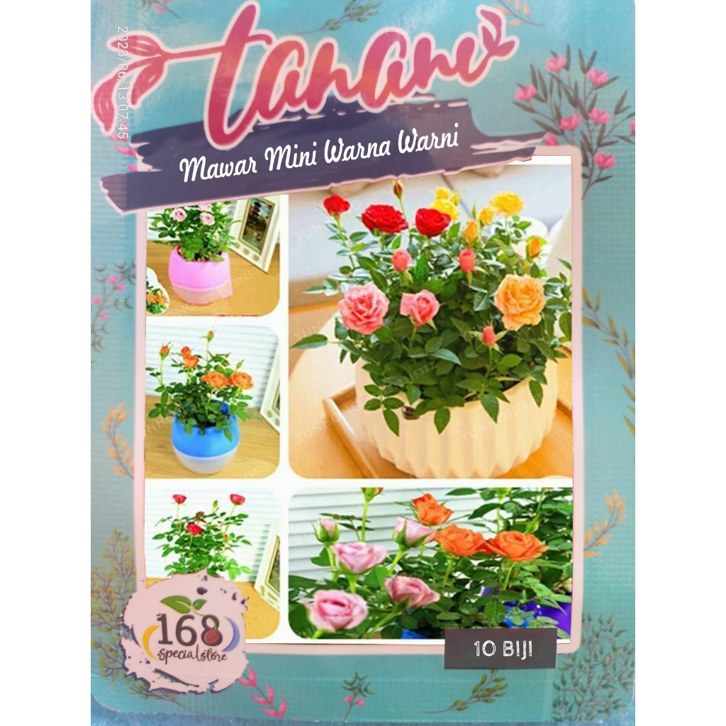 Biji Bunga Mawar Mini Warna Warni 10 Biji Bibit Mawar Bunga Mawar