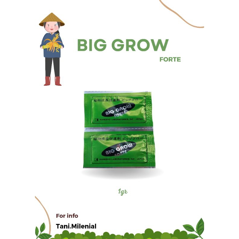 ZPT BIG GROW FORTE 1GR/ 1 SACHET