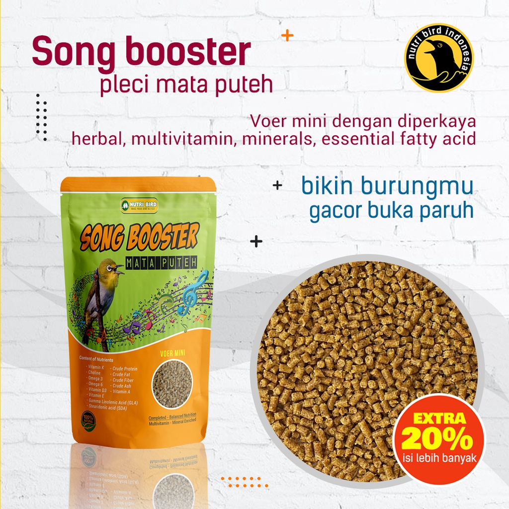 Song Booster Pleci Nutribird Pakan Gacor Burung Pleci Mata Putih Ciblek Prenjak Dll