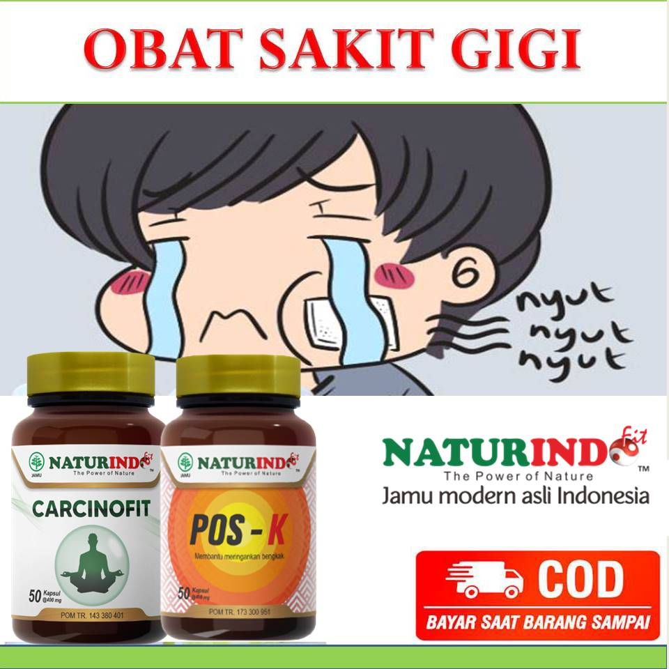 Obat Sakit Gigi Gigi Berlubang Gusi Bengkak Gusi Berdarah Gigi Sakit Pembengkakan Benjolan Herbal OR