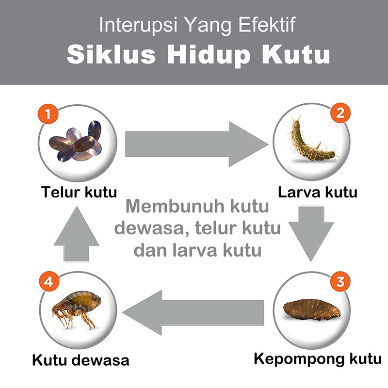 Obat Cacing Kucing Anjing Tetes Anthelmintik in Vitro Perawatan Kesehatan Hewan Anti Kutu Ticks Membunuh Telur Tungau Kudis