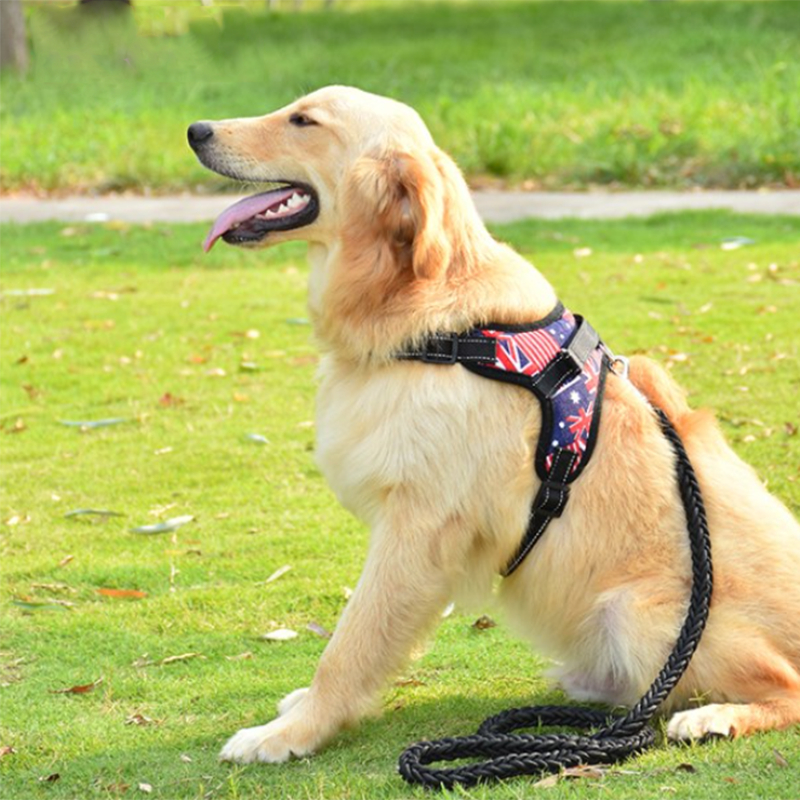 Rompi Harness Anjing Besar - Leash Harness Reflective Vest Large Dog - Harness Husky,Golden Retriever,Doberman