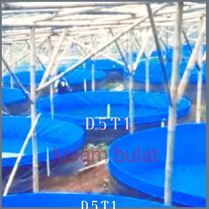 kolam bulat D 5 T 1