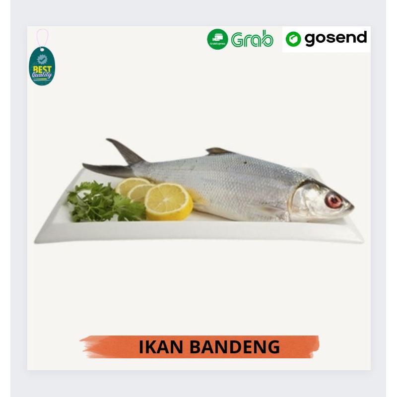 

Ikan Bandeng Segar - 1000gr