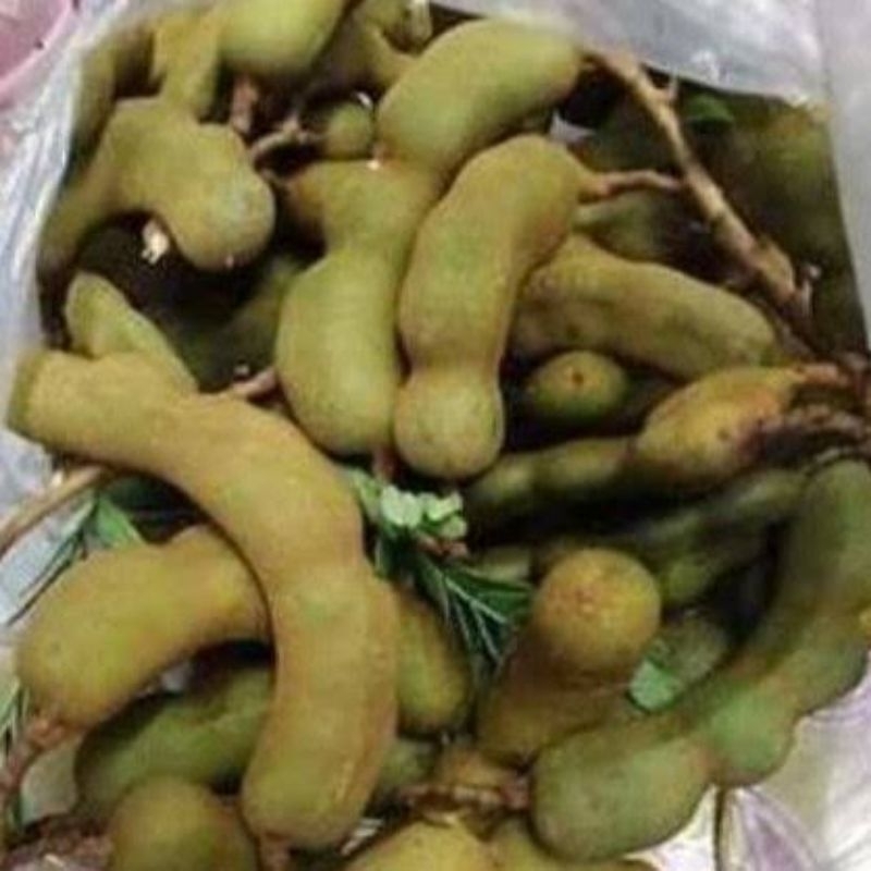 

ASEM JAWA | ASAM JAWA | MUDA MENTAH SEGAR 500 GRAM