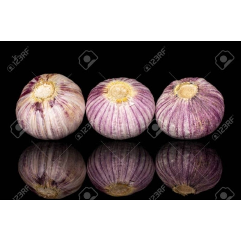 

Bawang Putih Tunggal Ukuran Besar / Jumbo Kemasan 1kg Fresh Kualitas Bagus