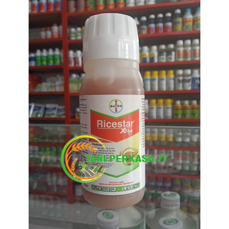 Ricestar herbisida purna tumbuh