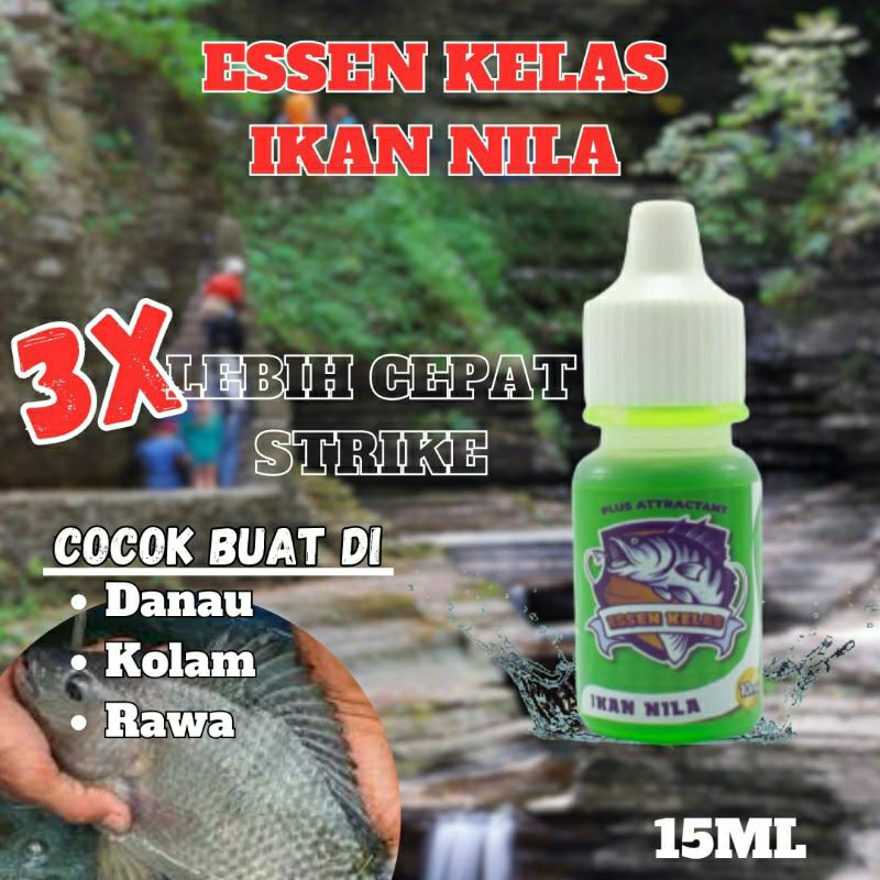 Essen Ikan Nila Buat Mancing Di Waduk Rawa, Essen Kelas Ikan Nila Paling Bagus, TERBARU