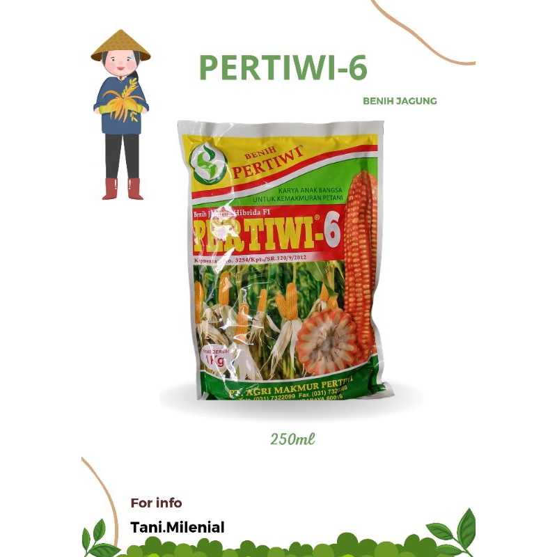 PERTIWI 6 - 1KG