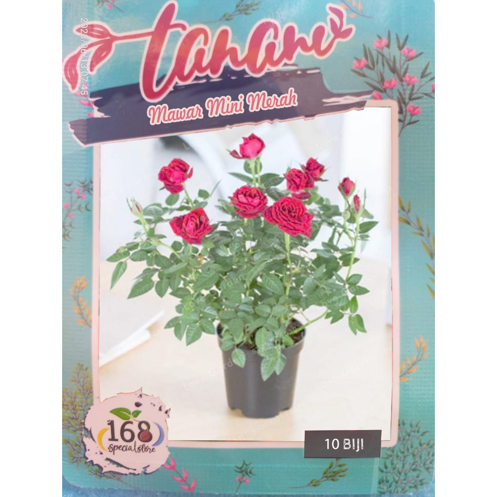 Biji Bunga Mawar Mini Merah Red Baby Rose (Isi 10 biji)