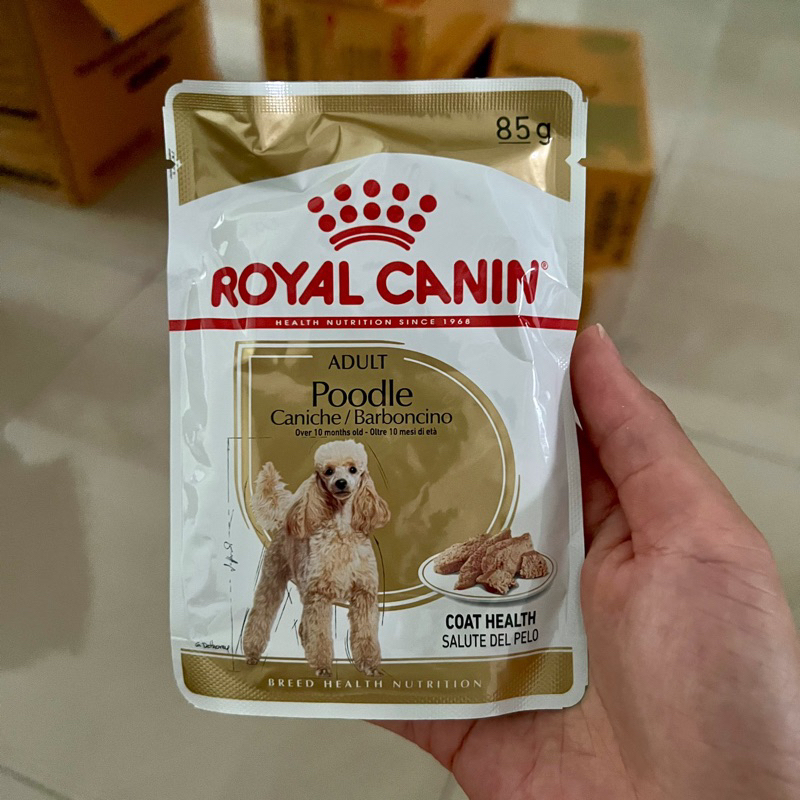 Royal Canin Adult Poodle 85gr