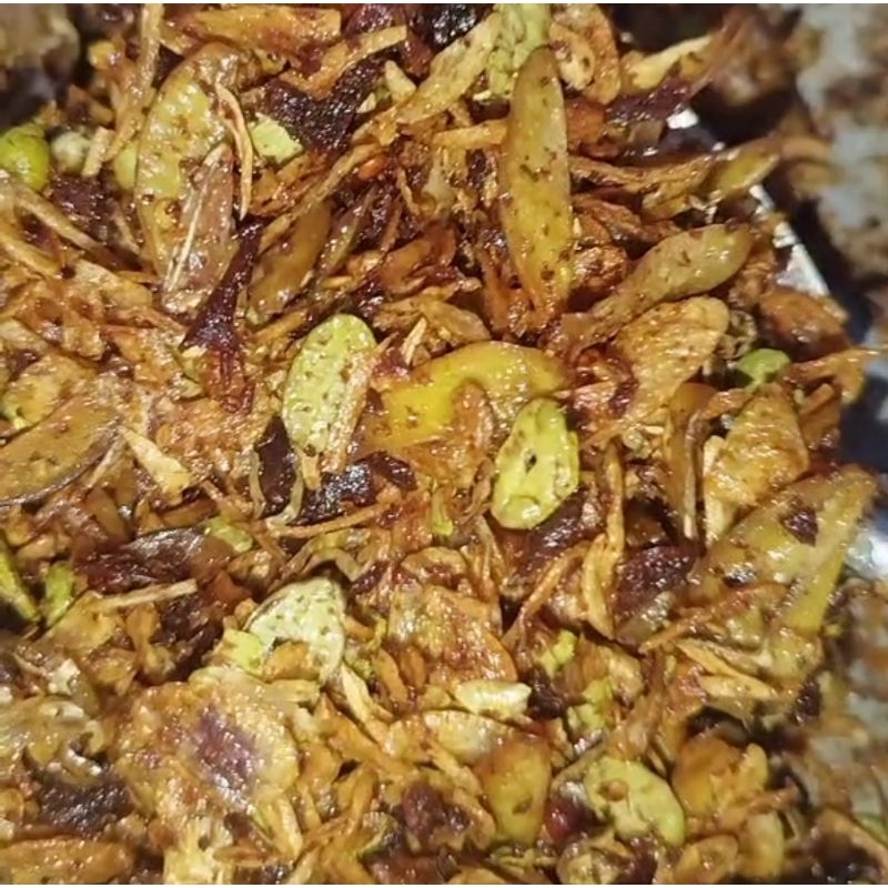 

terasi bawang