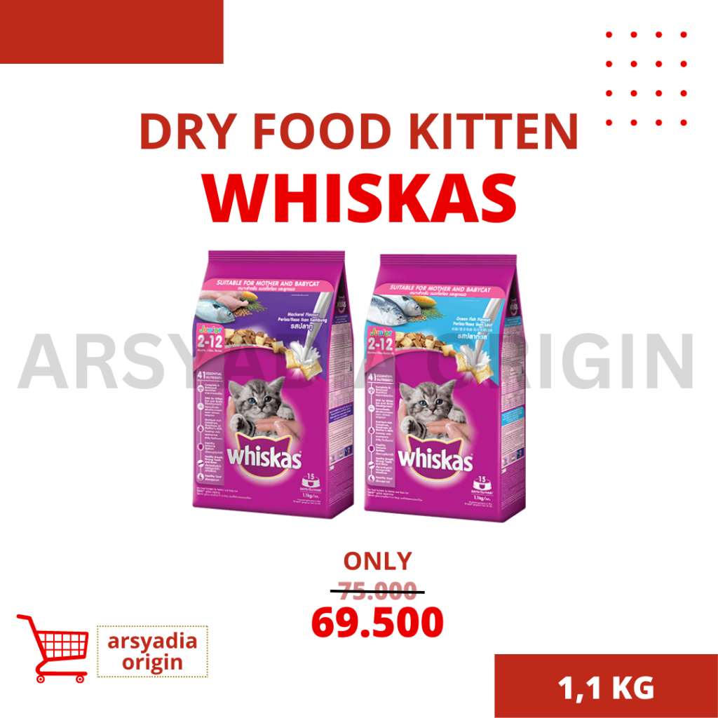 Whiskas Cat Dry Food Kitten 1,1Kg