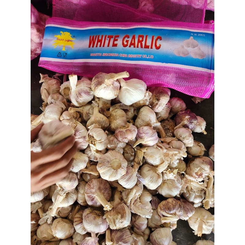 

BAWANG PUTIH SINCO 1kg