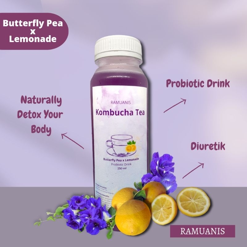

Butterfly Pea × Lemonade || Kombucha Tea || Probiotic Drink 250 ml