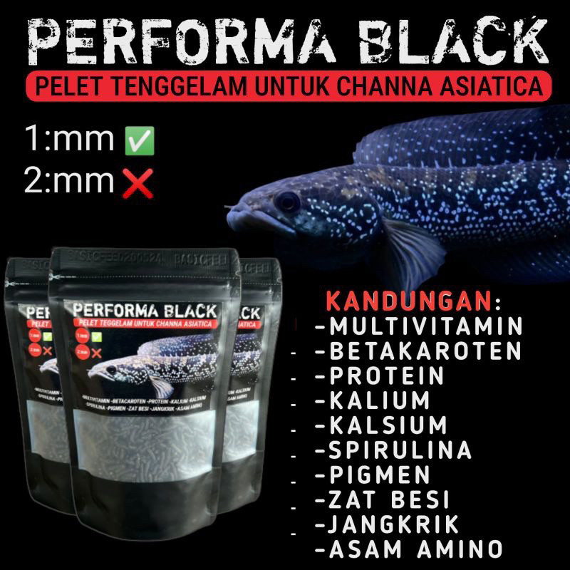 pelet performa black BASIC FEED pakan ikan channa asiatica | pelet ikan bentuk cacing asiatica ws
