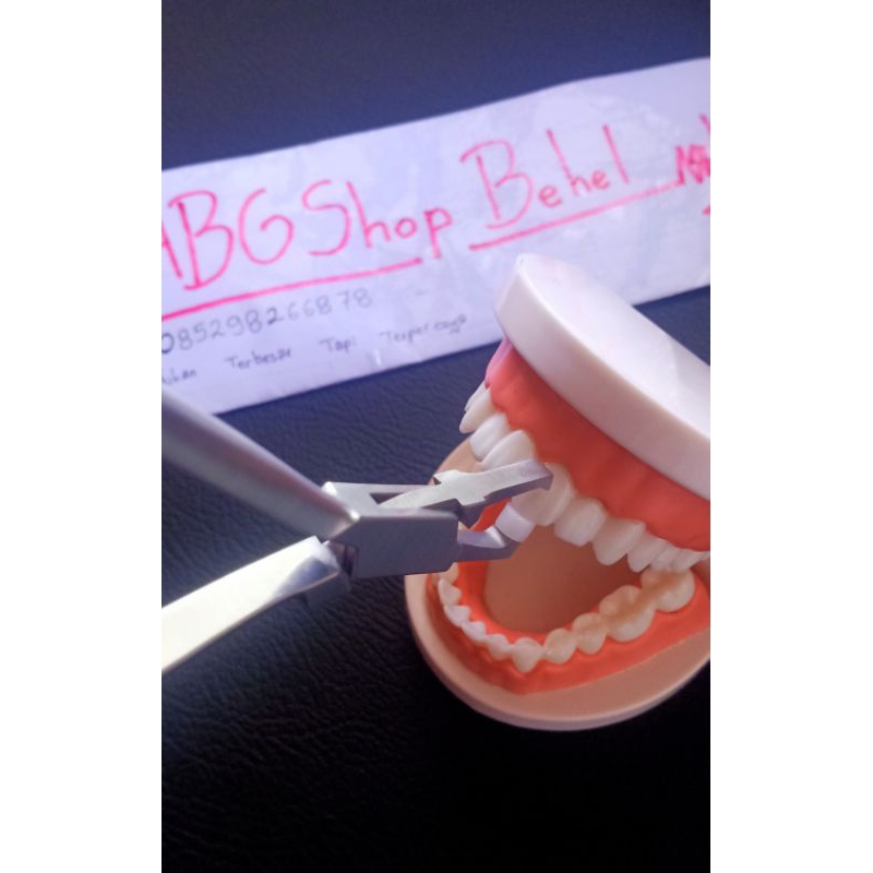 Tang Behel Orthodontic Remover Bonding