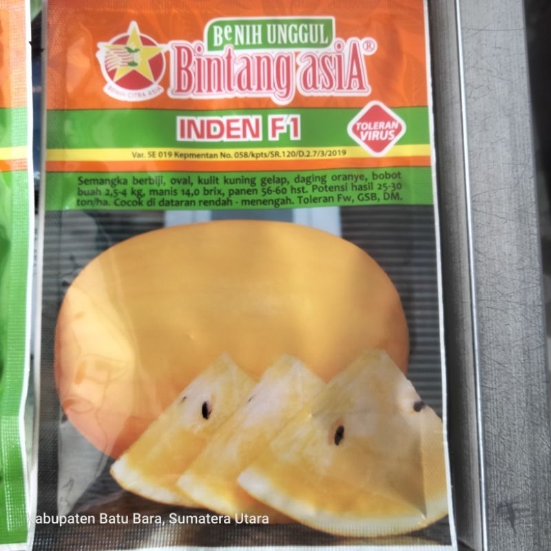 Semangka Inden f1 Bintang asiA