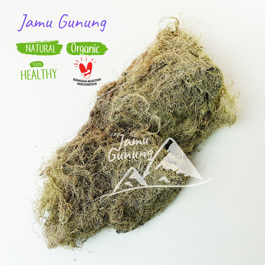 

Akar atau Kayu Angin Kering 50gr (Usnea spp)- Higienis