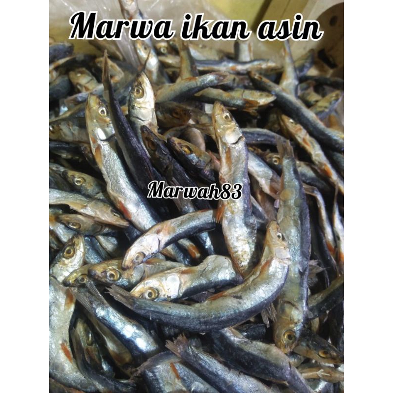 

ikan asin teri batu ikan asin teri item kualitas super harga murah