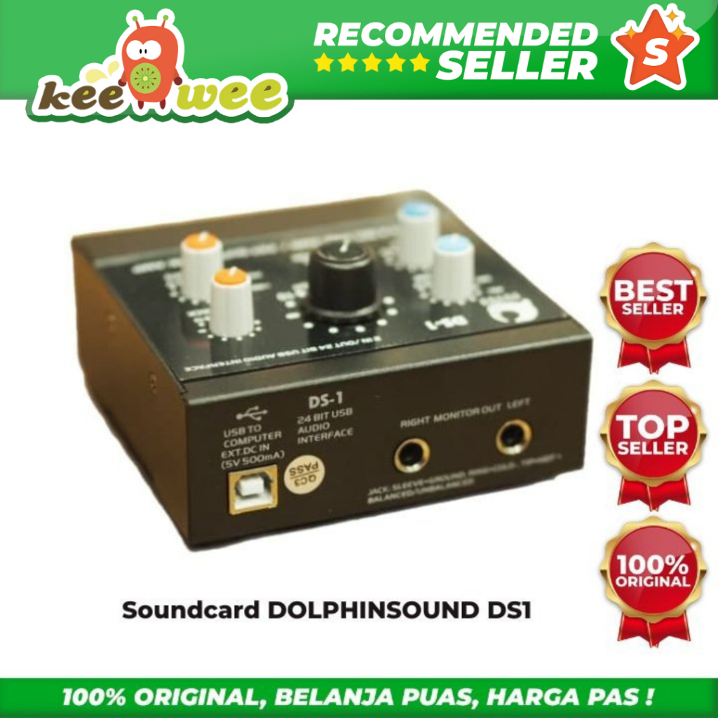 USB Audio Interface DOLPHIN SOUND DS1