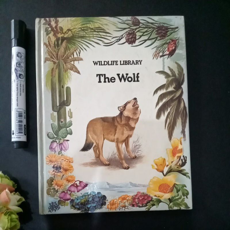 buku cerita bahasa inggris The Wolf preloved