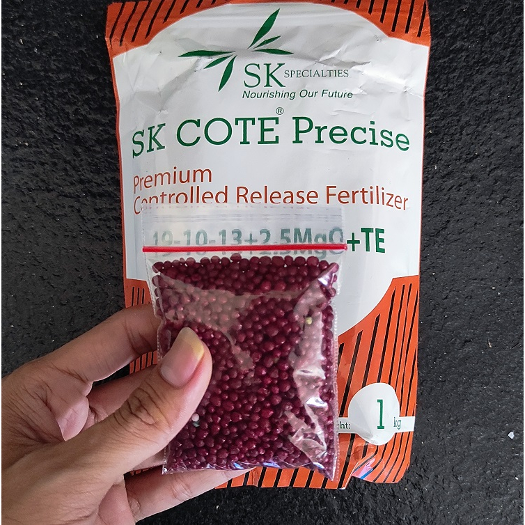 Pupuk SK COTE 19-10-13+2.5MgO+TE 50 Gram (REPACK) / Pupuk Slow Release SK COTE Precies Mirip Pupuk O