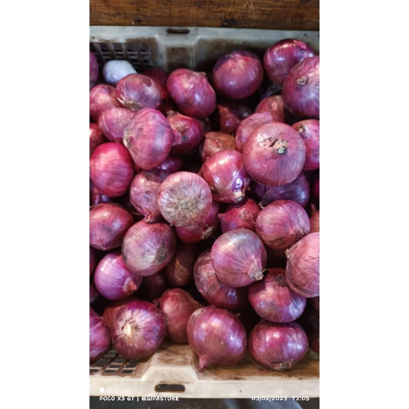 

Bawang Merah Besar / Bawang Peking 500gram