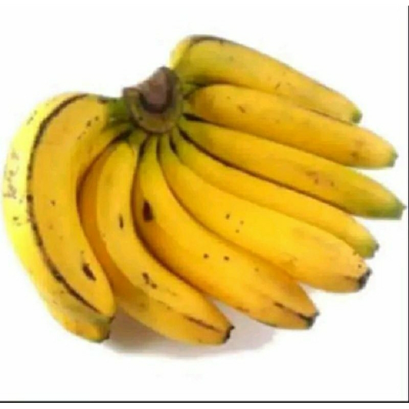 

pisang raja super manis 1 persisir