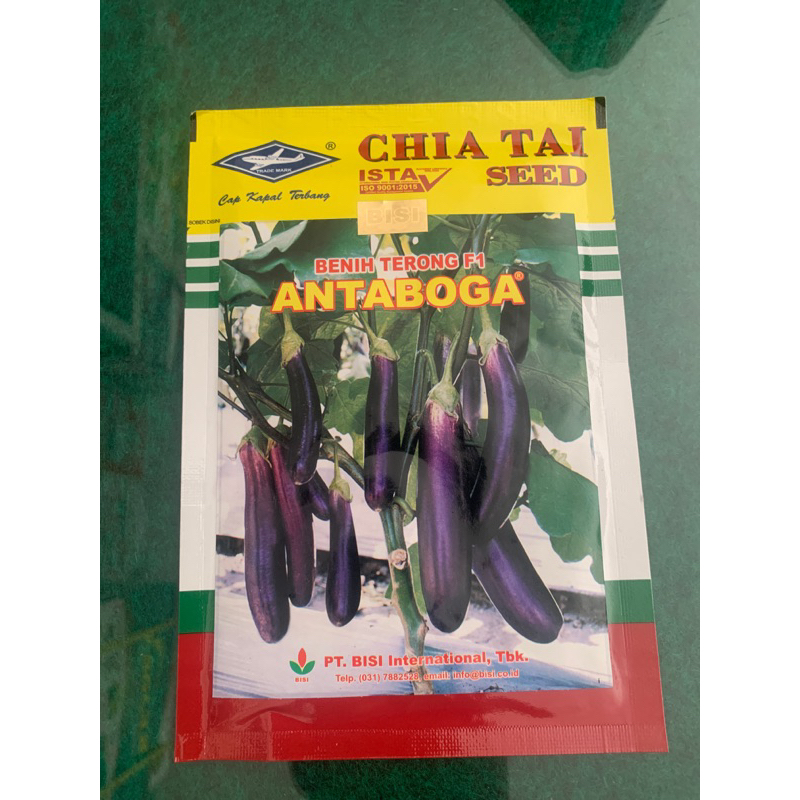 Benih Terong Ungu ANTABOGA (10Gram) - Bibit F1 Cap Kapal Terbang