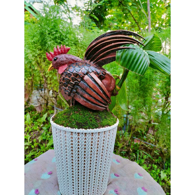 bonsai kelapa bentuk ayam unik