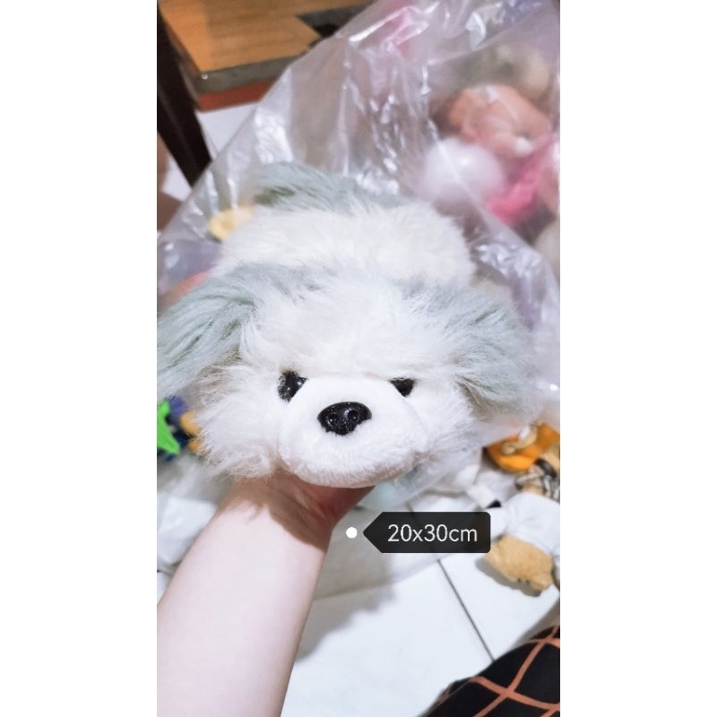 boneka cute dog shihtzu