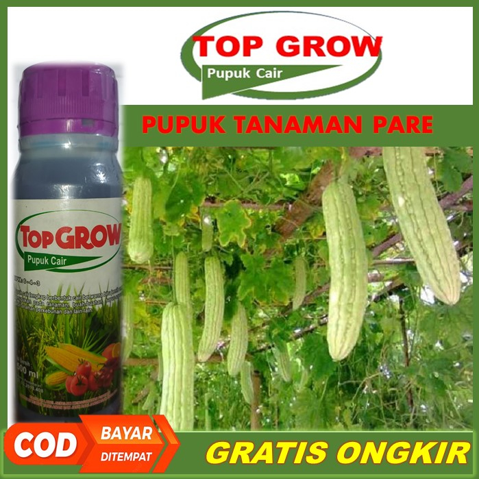 TOP GROW Pelebat Buah Pare Terbaik Tahan di Musim Hujan - Pupuk NPK Cair Pelebat Pare, Pupuk Organik
