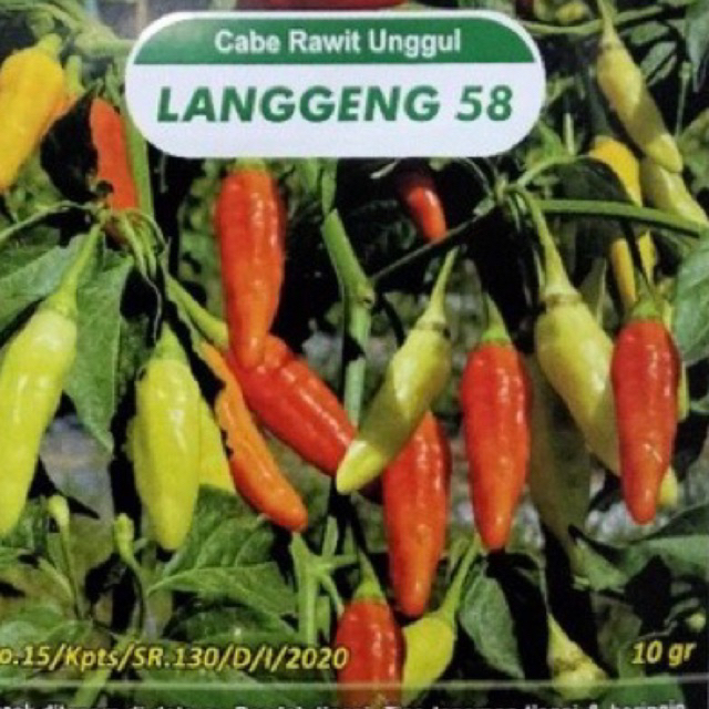 Isi 25 Biji Benih Cabe rawit unggul LANGGENG 58- repacking