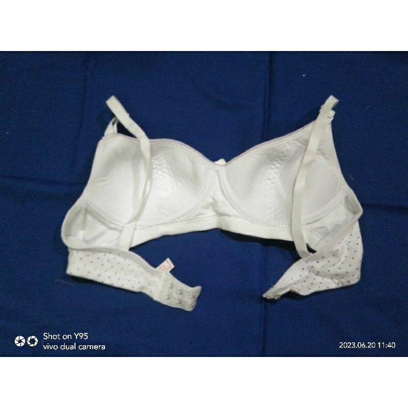 minibra golden nick 831