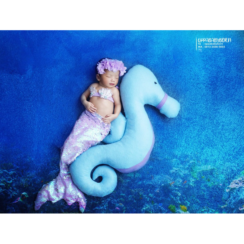 property boneka kuda laut foto newborn