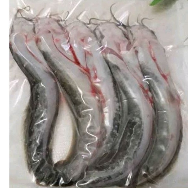 

ikan lele segar