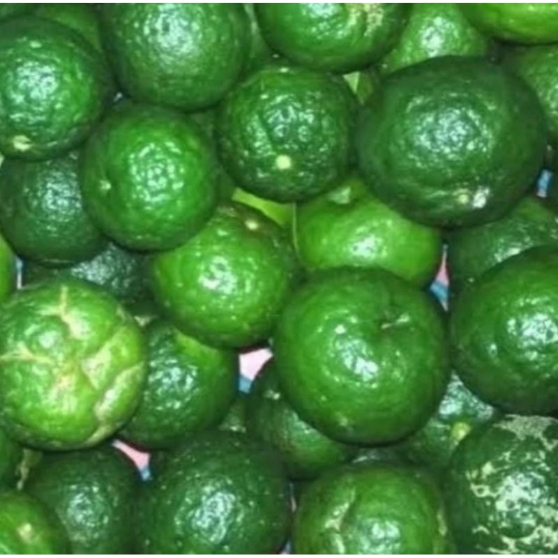 

Jeruk limau 100gr