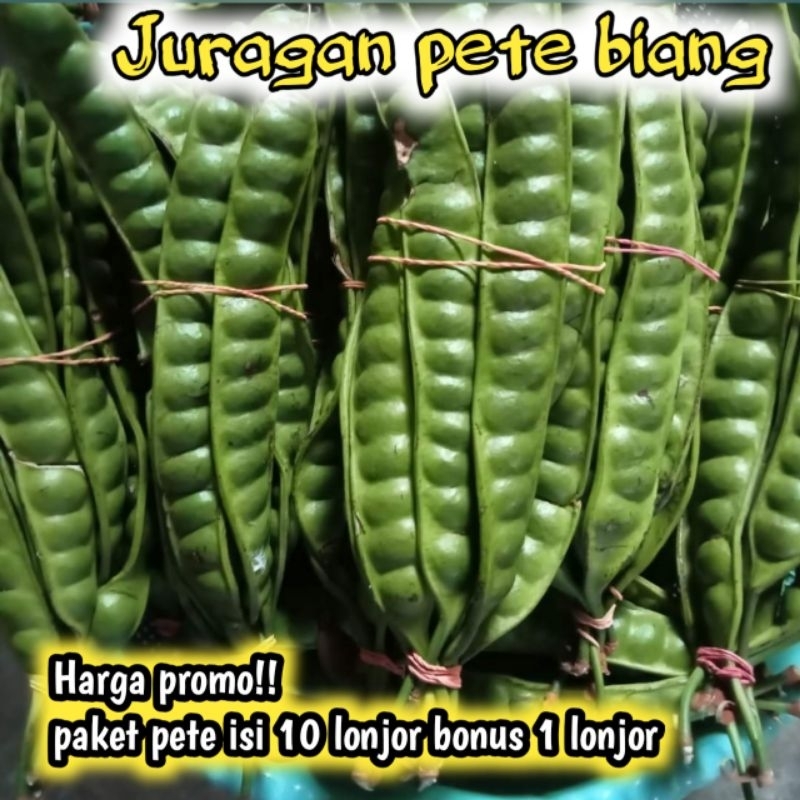 

PROMO PETE MURAH HARGA PERIKAT ISI 10 LONJOR GRATIS BONUS 1 LONJOR /PETE TUA/PETE SEGAR/PETE/PETAI