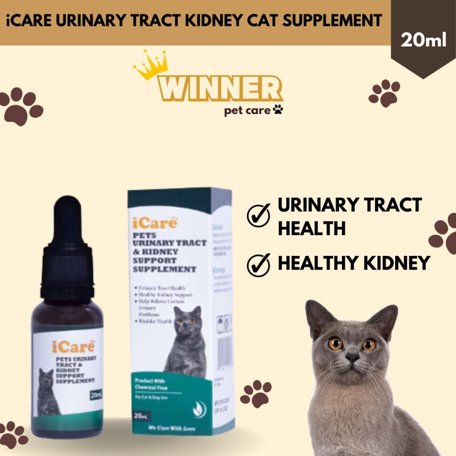 iCare Urinary Tract Kidney Cat Dog 10ml 10 ml Support Supplement