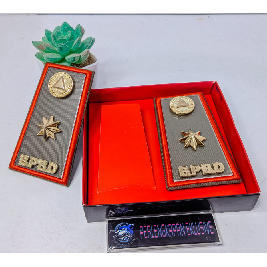 PANGKAT BPBD - PANGKAT BPBD 4C -PANGKAT BPBD GOLONGAN 4C