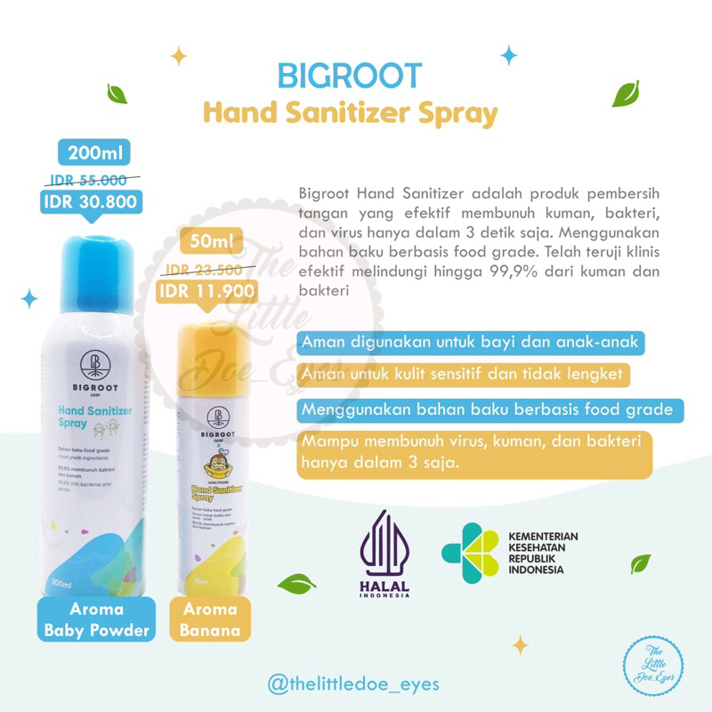 Bigroot Disinfectant / Hand Sanitizer Spray