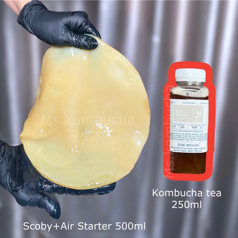 

scoby, air starter 500ml dan kombucha tea 250ml