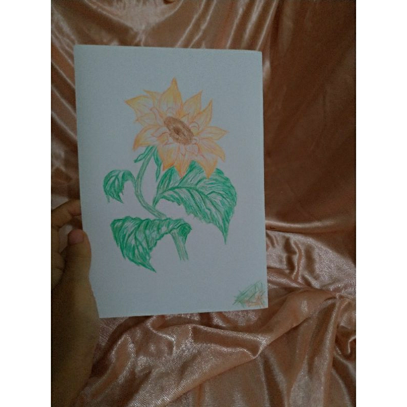 

Gambar bunga matahari pensil warna