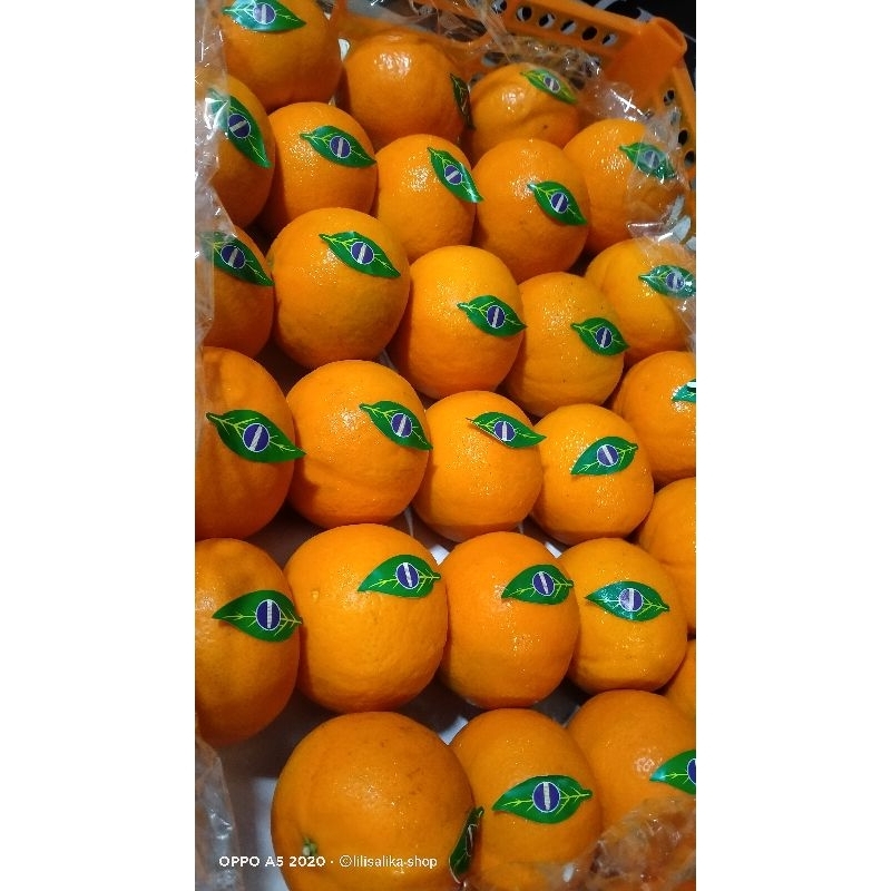 JERUK HONEY MURCOTT MANDARIN