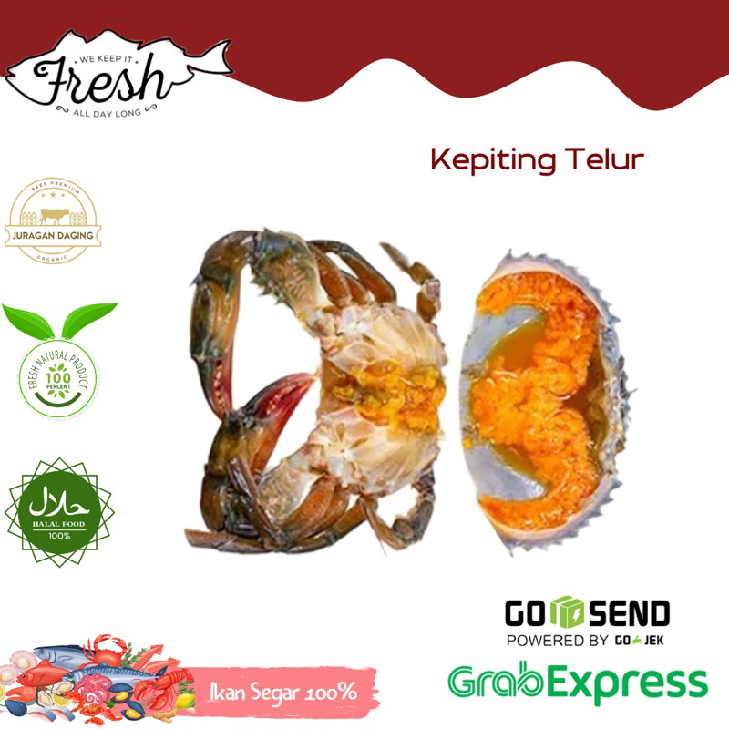 

KEPITING TELUR FRESH HIDUP 1kg