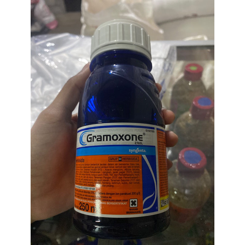 GRAMOXONE PESTISIDA PEMBUNUH RUMPUT